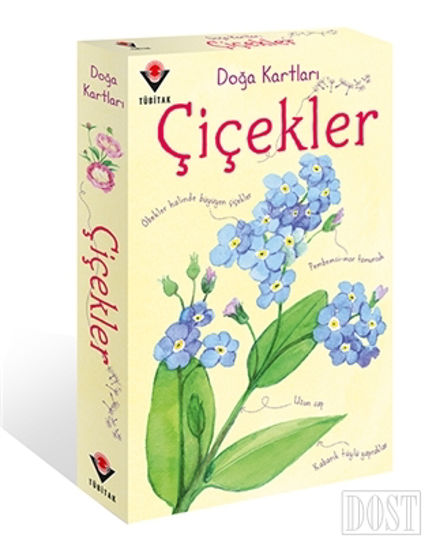 Doğa Kartları - Çiçekler